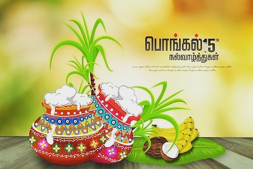 இந்த பொங்கல் அனைவருக்கும் மகிழ்ச்சியையும் செழிப்பையும் தரட்டும். அனைவரும் வீட்டி…